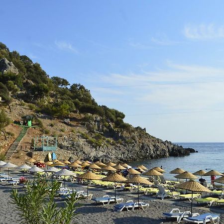 Erasmus Apart Hotel Dalyan Exteriör bild