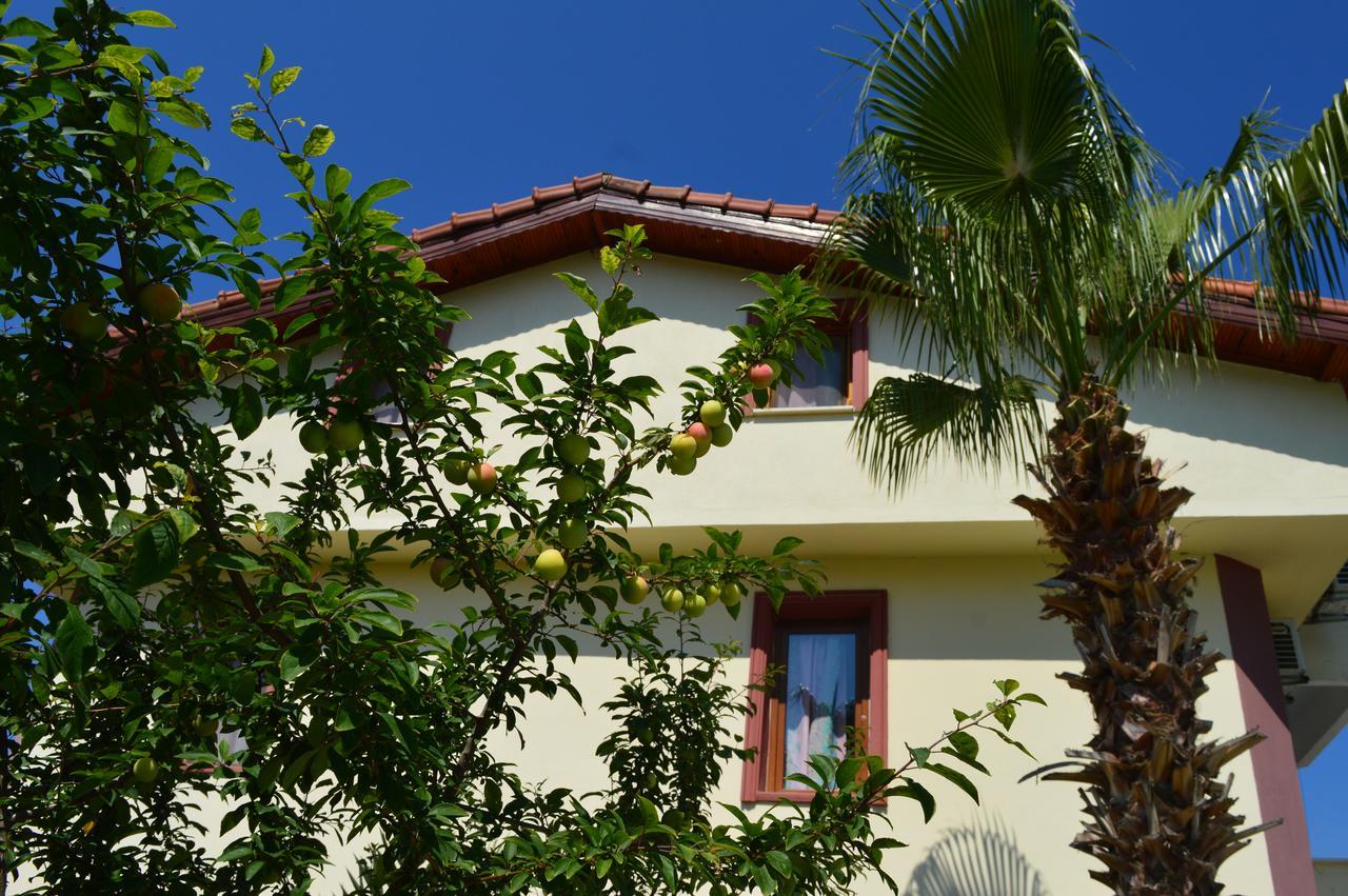 Erasmus Apart Hotel Dalyan Exteriör bild
