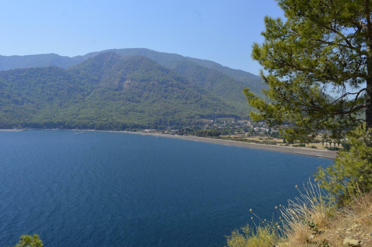 Erasmus Apart Hotel Dalyan Exteriör bild